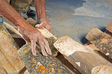 Image showing Roof thatcher