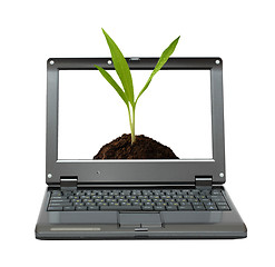 Image showing laptop with green sprout