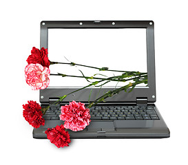 Image showing laptop with carnations bouquet