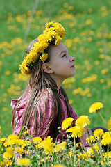 Image showing Young girl in summer day.