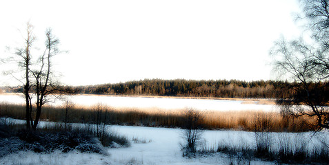 Image showing Winterlake