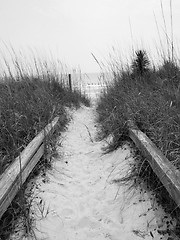 Image showing Beach Path