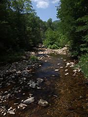 Image showing Cold stream