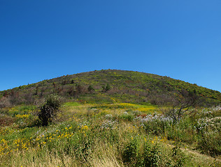 Image showing Round top