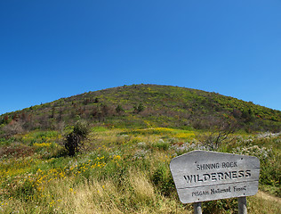 Image showing Shining rock