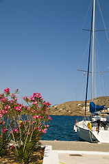 Image showing yacht with flowers harbor Ios Greek islands