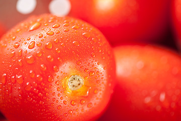 Image showing Fresh, Vibrant Roma Tomatoes in Colander with Water Drops
