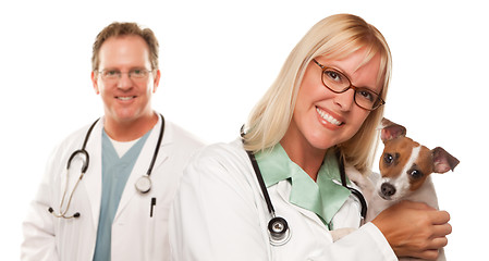 Image showing Female Veterinarian Doctors with Small Puppy