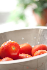 Image showing Fresh, Vibrant Roma Tomatoes in Colander with Water Drops