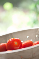 Image showing Fresh, Vibrant Roma Tomatoes in Colander with Water Drops