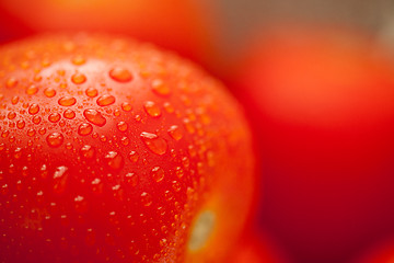 Image showing Fresh, Vibrant Roma Tomatoes with Water Drops