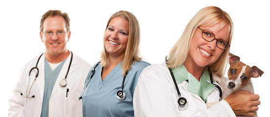 Image showing Female Veterinarian Doctors with Small Puppy