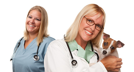 Image showing Female Veterinarian Doctors with Small Puppy