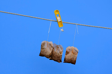 Image showing Tea Bags on the Rope in the Sun