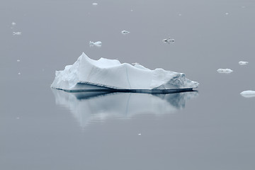 Image showing Mirrored Iceberg