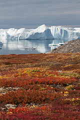 Image showing The Kangia icefjord