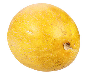 Image showing Single ripe yellow melon