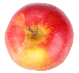 Image showing Single a red-yellow apple