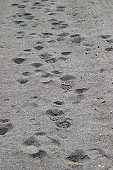 Image showing Foot Prints