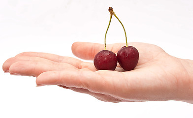 Image showing Hand holding red cherry 