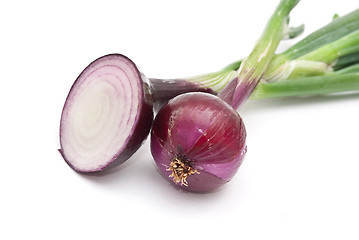 Image showing Red young onion 