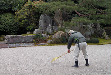 Image showing Arranging a Japanese garden