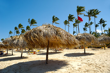 Image showing Parasols on beach