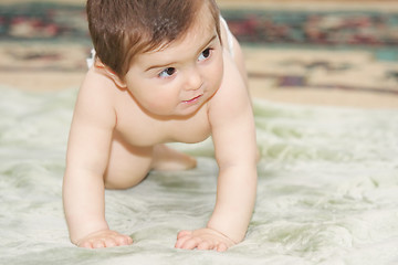 Image showing Crawling infant