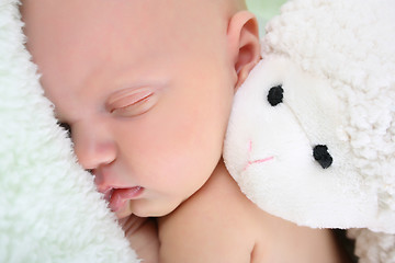 Image showing Sleeping Newborn