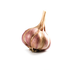 Image showing head of garlic