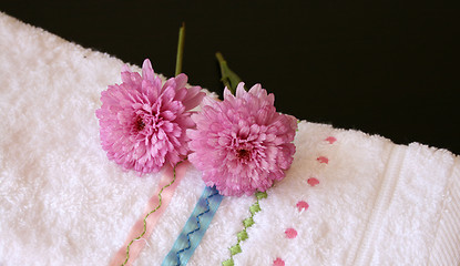 Image showing Plush Pink