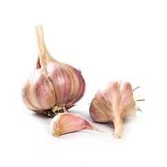Image showing fresh garlic