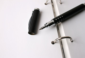 Image showing Fancy Pen