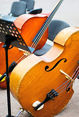 Image showing Cellos at public concert