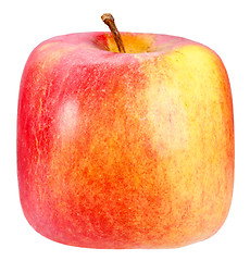 Image showing Single square red-yellow apple