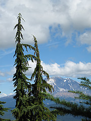 Image showing Mountain Scenery