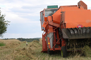 Image showing Harvesting