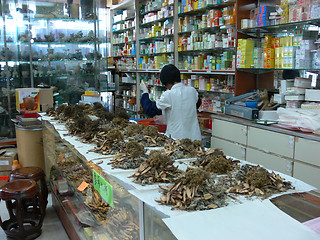 Image showing Chinese herb store  