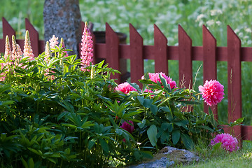 Image showing flower bed