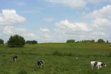 Image showing Rural Landscape