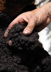 Image showing Black soil