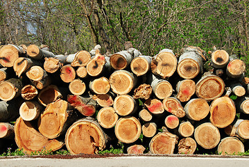 Image showing Firewood pile outdoor