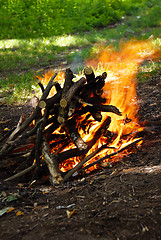 Image showing Scenic burning fire