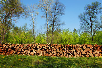 Image showing Firewood pile outdoor