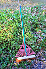 Image showing The garden tools