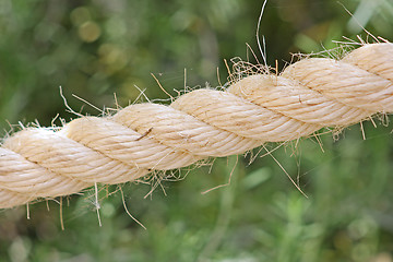 Image showing The rope