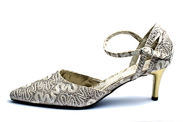 Image showing Beautiful lady shoe