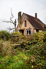 Image showing Abandoned overgrown house