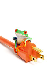 Image showing green energy - frog on power plug isolated