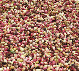 Image showing Fresh pistachio